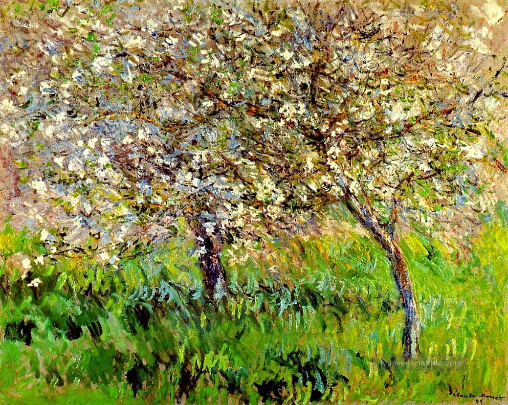 Apfelbäume in der Blüte bei Giverny Claude Monet Ölgemälde